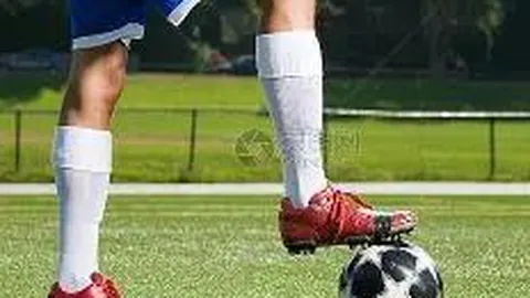 辽宁省代表团走访江门东莞赛区，激励特奥及聋人女篮选手拼搏风采