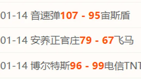 “逆境锻造辉煌：马特乌斯冠军征途”