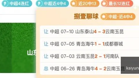 开云体育 135234 6